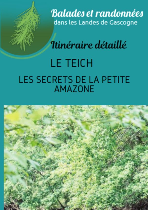 Balade – Les secrets de la petite Amazone – le Teich
