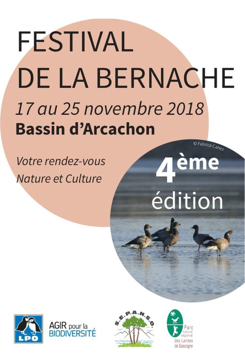 Festival de la Bernache • Actualités Festival de la Bernache