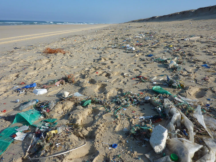 Déchets et biodégradabilité : je préserve mon bassin ! • Actualités Déchets et biodégradabilité : je préserve mon bassin ! • Actualités