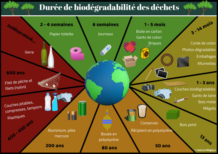 Déchets et biodégradabilité : je préserve mon bassin ! • Actualités Déchets et biodégradabilité : je préserve mon bassin ! • Actualités