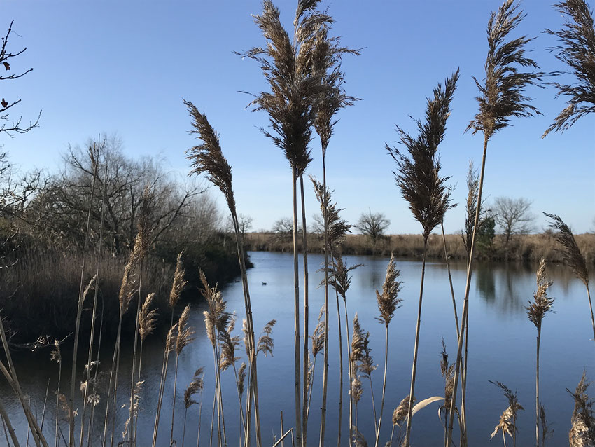 Déconnexion sur le sentier du littoral • Actualités Déconnexion sur le sentier du littoral • Actualités