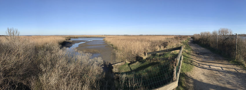 Déconnexion sur le sentier du littoral • Actualités Déconnexion sur le sentier du littoral • Actualités
