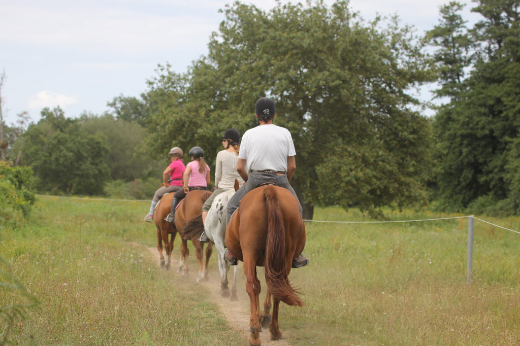 Villetorte loisirs • En mode sport Balades à cheval - equitation villetorte loisirs
