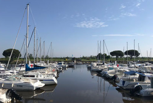 Ecoplaisance du Delta • Au Teich ecoplaisance