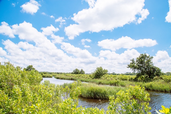 Billetterie • Le Teich pratique billetterie fleury