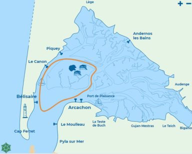 Billetterie • Le Teich pratique balada en bateau littorale