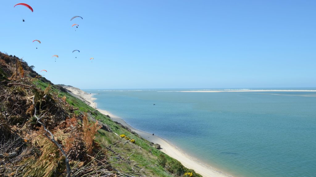 Billetterie • Le Teich pratique billetterie dune du Pilat