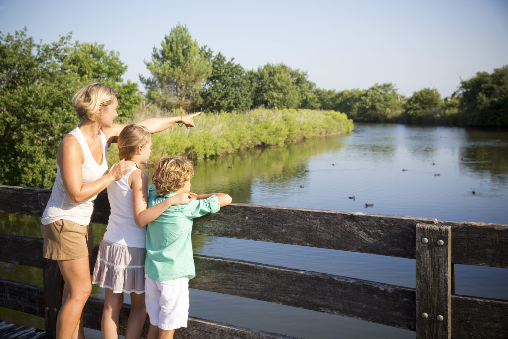 Destination nature • 7 bonnes raisons de choisir Le Teich destination nature Reserve ornitho